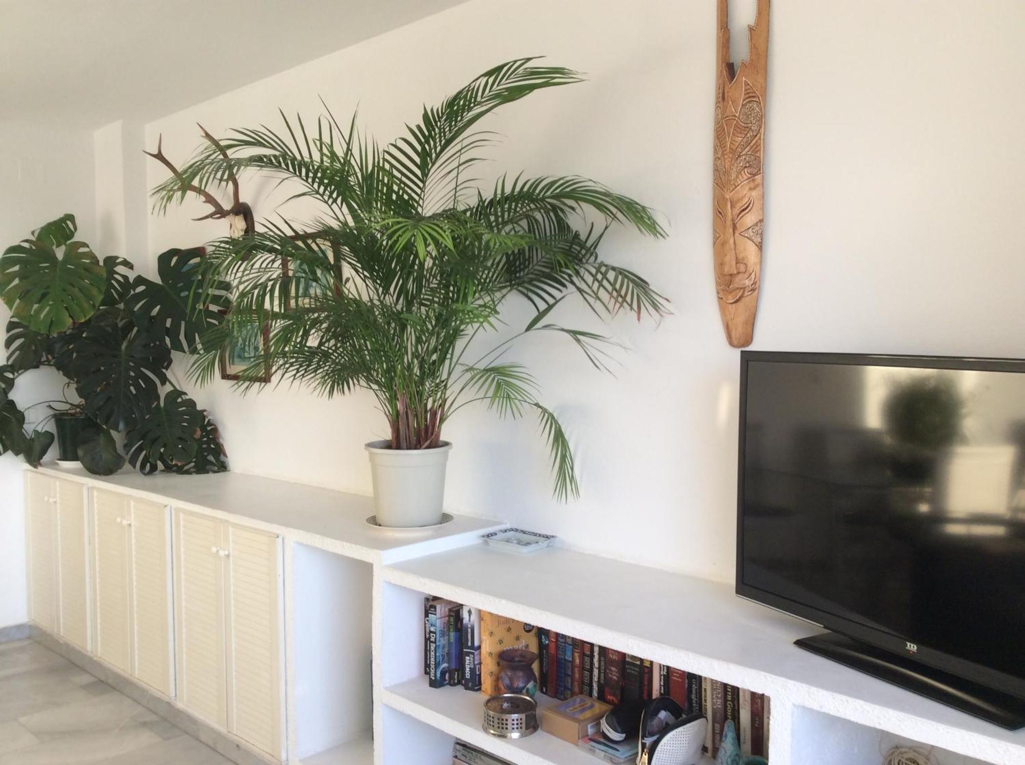 Tres Carabelas Torremolinos Zewnętrze zdjęcie